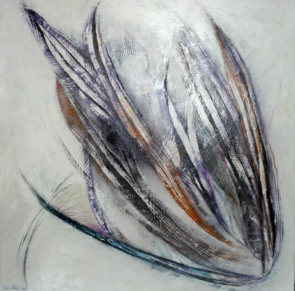 LE OMBRE DEL CAVALIERE